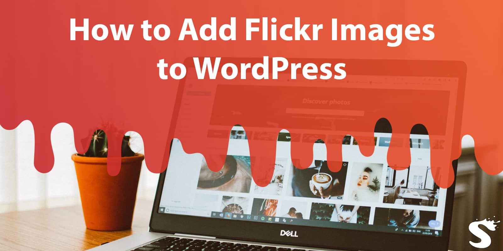 How to Add Flickr Images to Your WordPress Blog