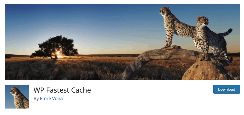 wp fastest cache