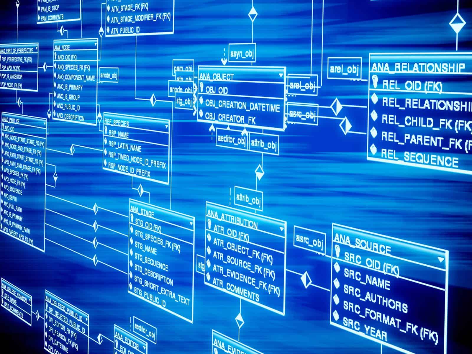 Database schema