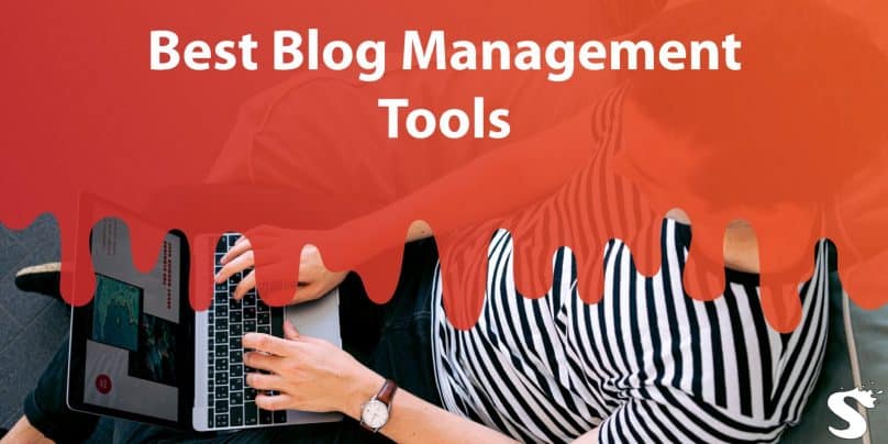 Best Blog Management Tools That Will Help You Thrive in the Online Realm