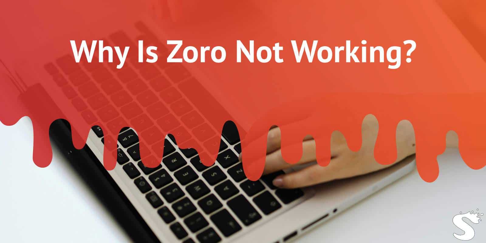 Why Is Zoro Not Working?
