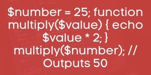 Passing Variables as Arguments to Functions