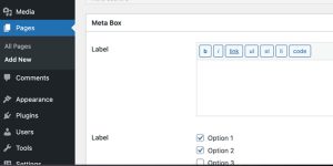 Setting Up Custom Fields and Metaboxes in WordPress