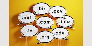 What Are Domain Name Extensions?