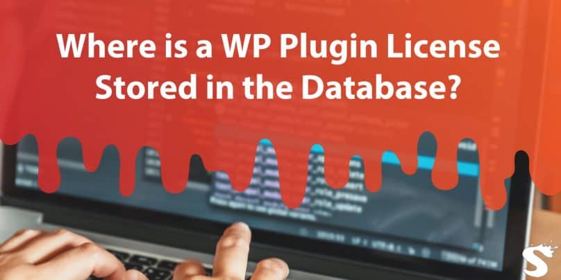 Where is a WP Plugin License Stored in the Database?