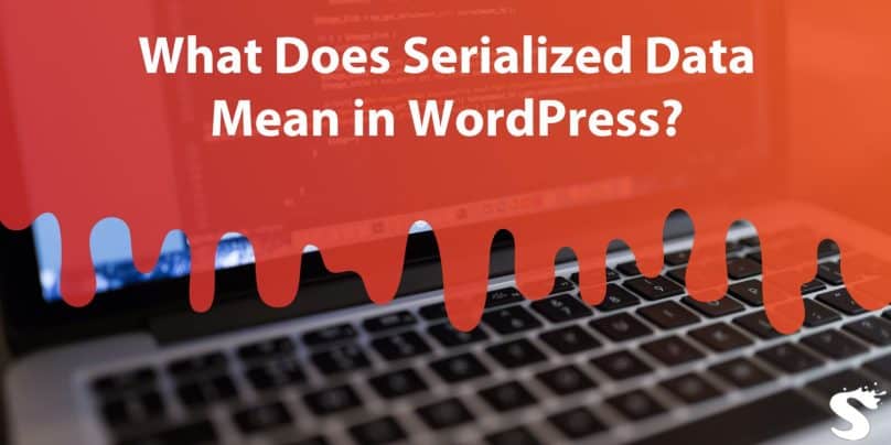 What Does Serialized Data Mean in WordPress?